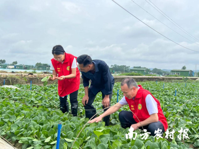 金融租赁可吸收3个月非银股东定存