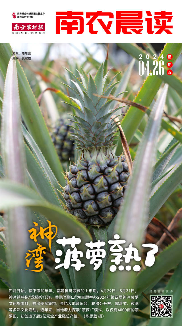 南方農村報 李嘉鎵 制圖