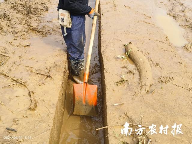 暴躁大鹅爆笑名场面截图集锦 魔性瞬间一览无余欢乐全收录