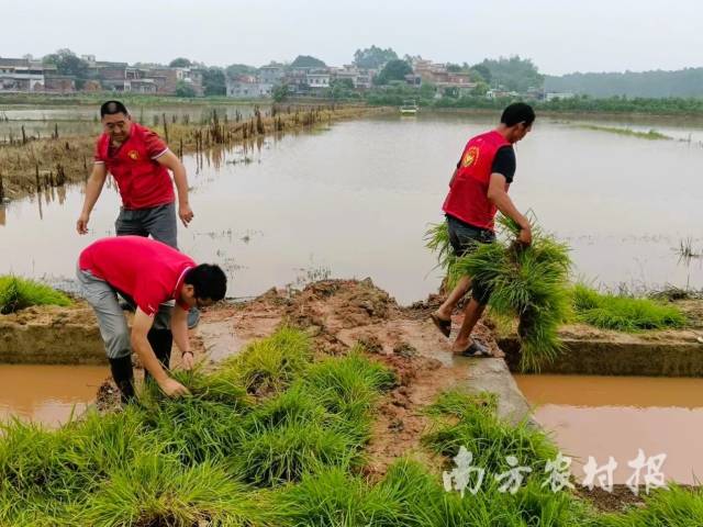受访者供图