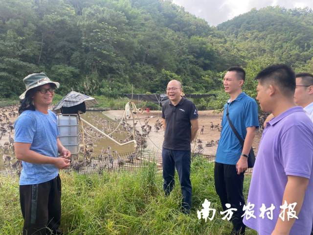 工作队走访农户。