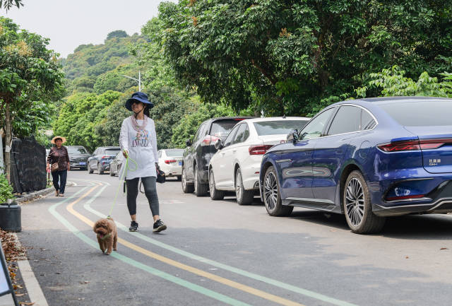 三年前进山路从单行道改成双行道，当地人气也更旺了。