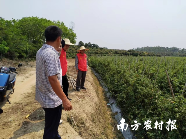 南极菲尔德斯半岛表层土壤中多环芳烃分布特征、源解析及风险评价(一)