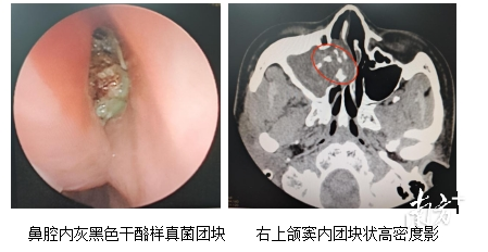 通讯员 二中医 供图