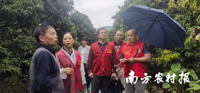 地下城堡2紫色秘银锭高效获取攻略与刷取技巧全解析