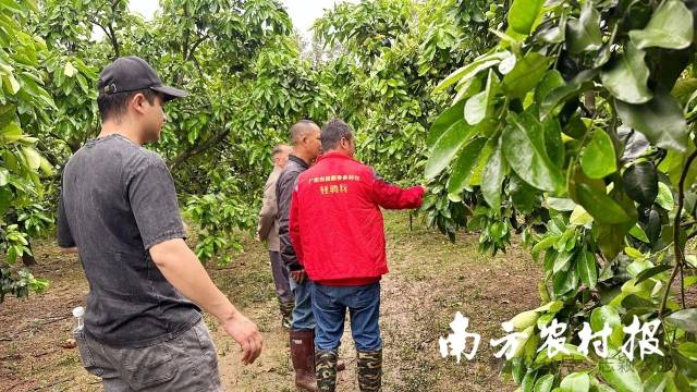 科创板股票发行承销指引出炉：跟投比例2%