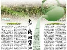 名声日隆，潮州茶产业如何更上层楼｜速览《南方日报·潮州观察》第171期