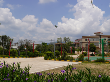 油山镇上朔村：“党建红”赋能“生态绿”，共绘绿美乡村新图景