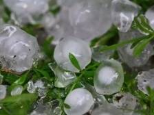湛江发布冰雹橙色预警！多地气象预警同时生效
