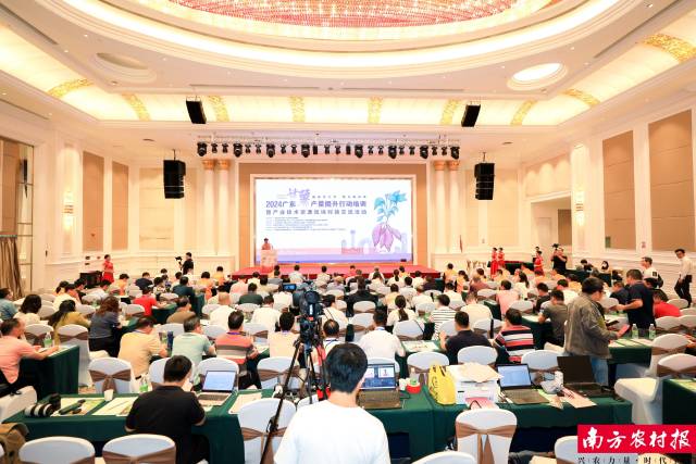 大会汇聚了来自全省甘薯产业“政产研学推”各领域的代表。