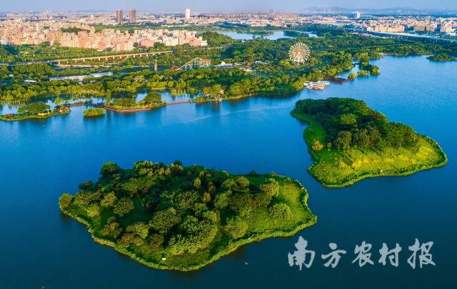 广州市白云区白云湖