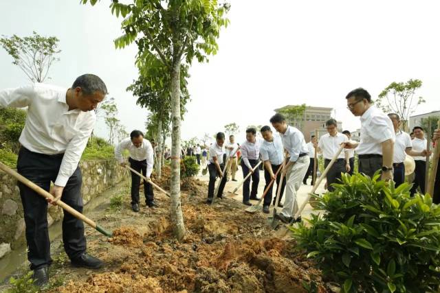 植树活动现场。