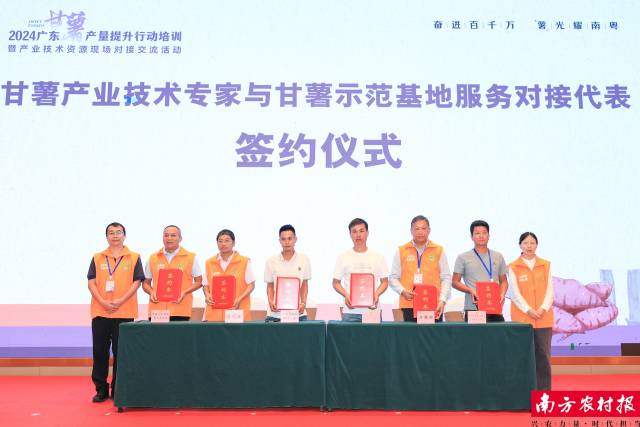 技术专家与甘薯示范基地代表服务对接签约仪式。