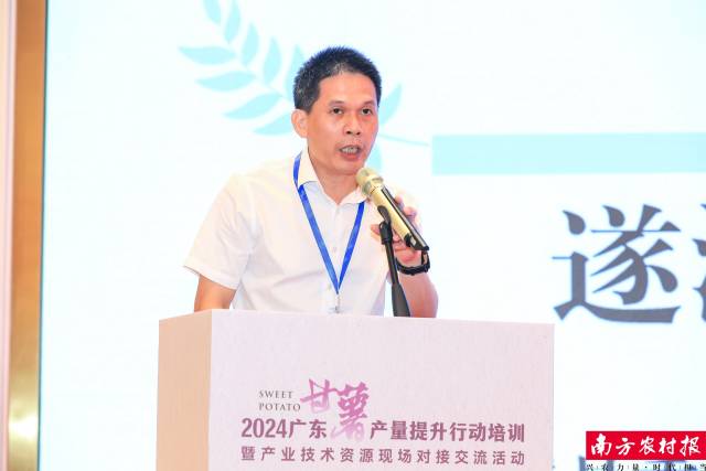 遂溪县委农办常务副主任、乡村振兴局副局长杨振海