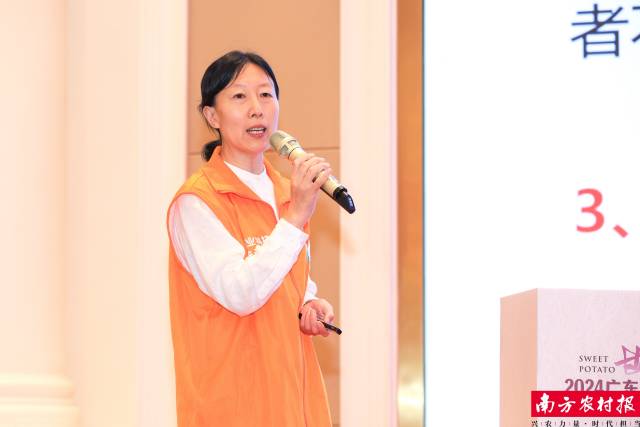 广东甘薯产业技术体系首席专家、广东省农业科学院作物研究所研究员王章英