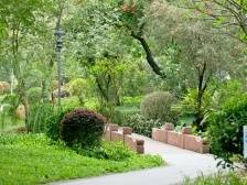 视频｜在望牛墩亲测“公园20分钟理论”，是真的！