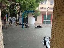 滚动 | 惠州多地暴雨，惠东黄埠出现“水浸街”（视频）