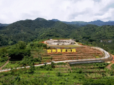 暂别城市喧嚣，来西江画廊寻回诗意丨五一玩乐来郁南③