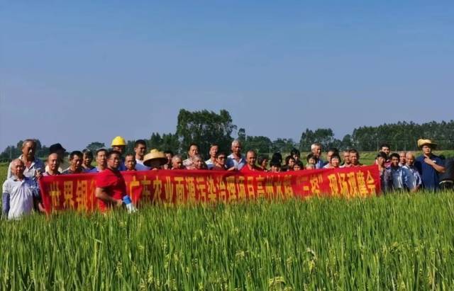 南方农村报 李嘉镓 制图