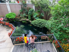 旗山时评｜绿美小榄，从“美丽庭院”开启