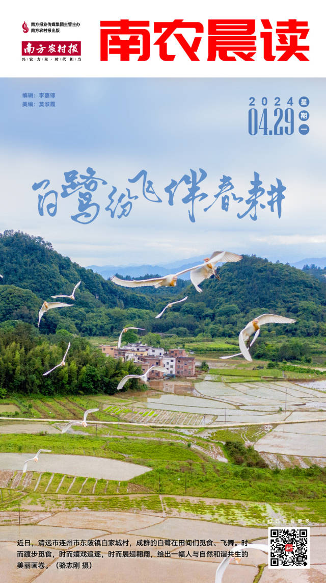 氯化铵溶液标准物质:确保实验数据准确性