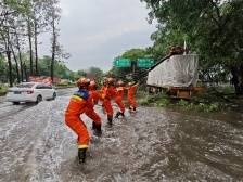 视频丨强对流天气致树木压小车，东莞消防火速救援排除险情