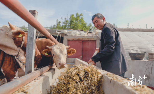 阿卜都·克尤木通过养牛、养花、开拖拉机，年收入由最初的1万元增长到11万元。