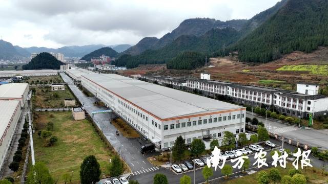 貴茶公司總部位于銅仁市江口縣,，擁有全球最先進(jìn)抹茶精制生產(chǎn)線,、亞洲最大的抹茶精制綜合車間。