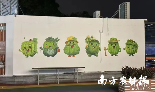 凉瓜卡通IP形象 凉瓜卡通IP形象