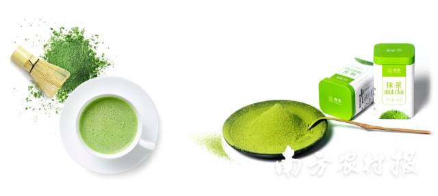 清新可人的梵凈抹茶,、梵凈抹茶飲品。