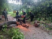 防汛一线党旗红！广东各级党组织和党员干部全力投身防汛救灾