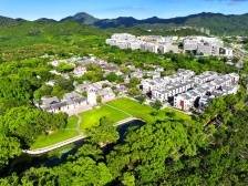 唐家湾镇：古镇向“新”，振兴提“质”｜走读“特区镇能量”