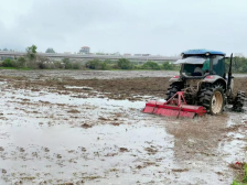 电城镇排坡村：盐碱地里种下新希望