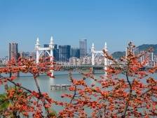 南屏镇：空间重塑，中西融合｜走读“特区镇能量”