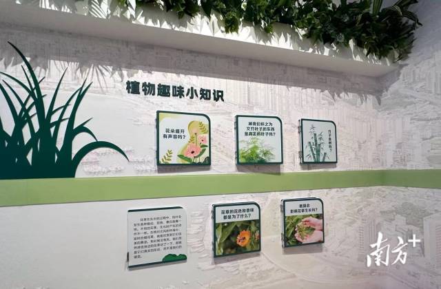 科普中心设有植物趣味小知识互动区。 