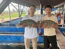 从八成出口到七成内销，茂名罗非鱼兄弟用好水养好鱼｜新农人 兴农记①