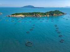 村集体经济将增收近百万元！珠海无偿委托运营321公顷海域