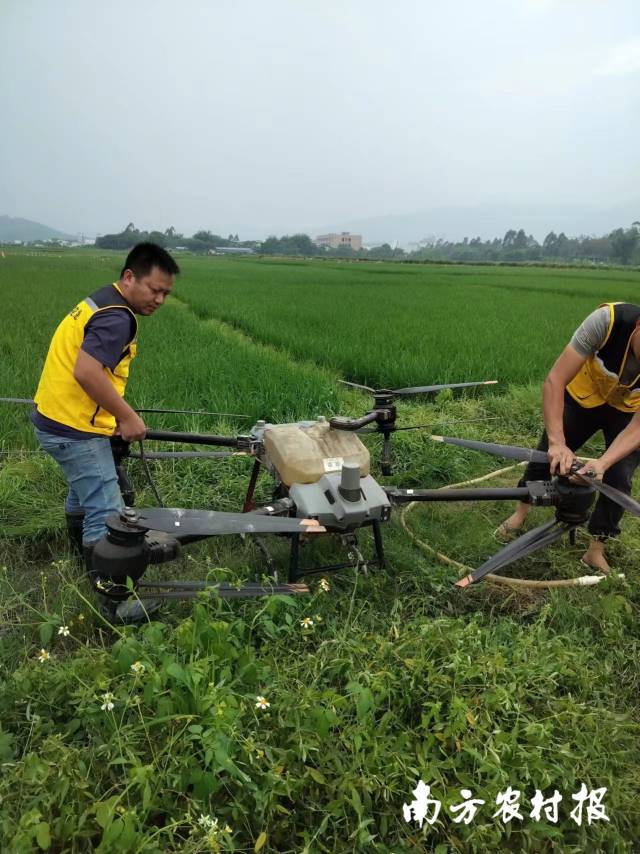 农机应急服务队用无人机飞防