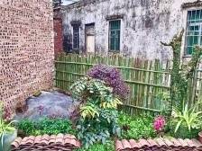 乳源大布镇：乡土“设计师”用心点缀绿美乡村