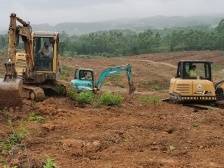 乳源桂头镇：打造“桉改药”示范共建基地，开辟镇村共富“新路径”