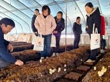 乳源一六镇：以人才赋能乡村振兴，加快推动镇域高质量发展