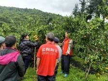 乳源东坪镇：人才队伍来“义诊”，助农复产开“药方”