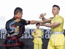 二指禅、南棍、蔡李佛拳……传统武术快闪亮相白鹅潭
