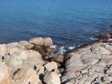 暴雨影响持续！深圳公园、场馆最新通知→