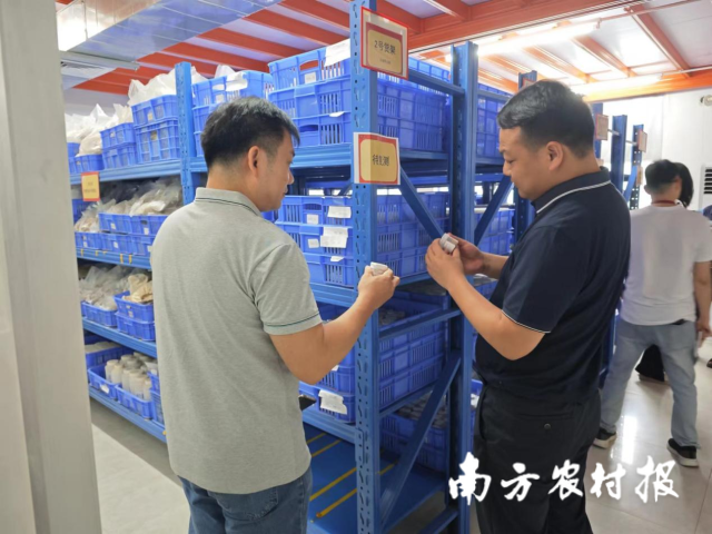 检查组专家正在仔细检查样品标签 检查组专家正在仔细检查样品标签