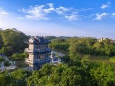 水口镇岭上村：做好产业集聚，探索基层善治最优解｜茂名典型村一线行⑭