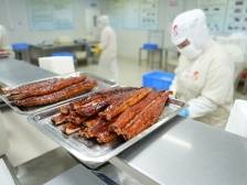 记者手记：台山鳗鱼，从“隐藏款”到“爆款”