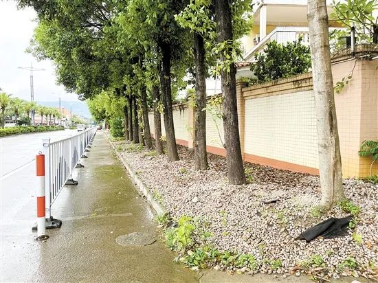 护栏所在位置，之前施划的停车位标示线依然清晰可见。朱磊磊 摄