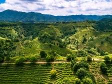 兴宁市合水镇：抓党建、育人才、强产业，为“百千万工程”蓄势赋能