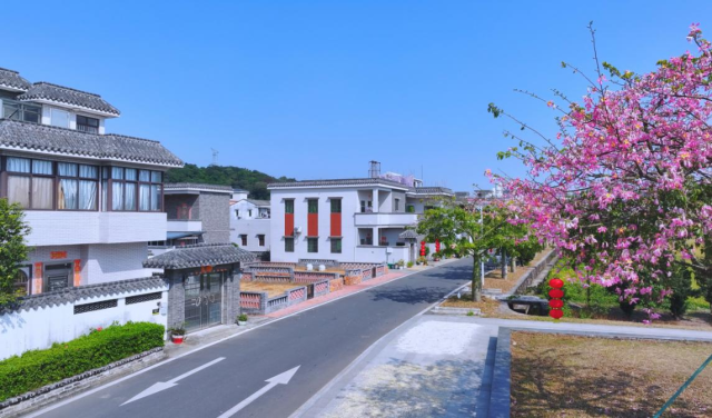珠海市斗门镇上洲村村民自建房。